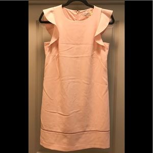 Ann Taylor LOFT Dress